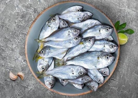 20211021171612b93e5c3eab40462082b8c2e5915aeda9