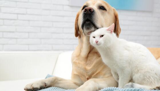 202111221624557afbeede2de0438a82b04eef9ea94d9f