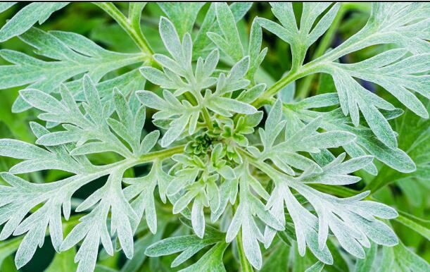 20201126161430cb972dfa3a85489b9bac0ed85a01376a 20201126161430cb972dfa3a85489b9bac0ed85a01376a