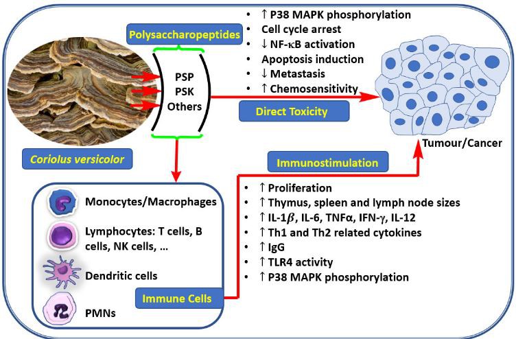 20210119134259dd015194bcb1400cb2cf34cb8f08a1e1-1 20210119134259dd015194bcb1400cb2cf34cb8f08a1e1-1