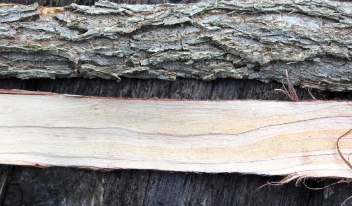 2021070613574766b952a36ce0408ca1a9fe7710d41c0e-7 2021070613574766b952a36ce0408ca1a9fe7710d41c0e-7