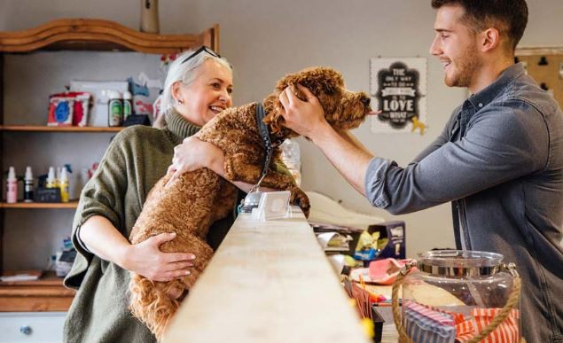 20210804162558ef8033700e7642358a953d8a565f7de7-1 20210804162558ef8033700e7642358a953d8a565f7de7-1