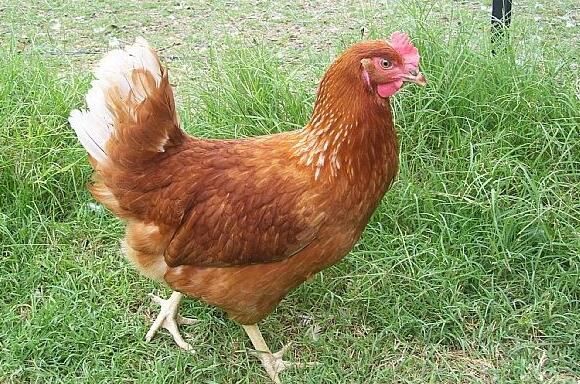 20210810162908558abb7db2ff45c6be1af1c381d242aa-3 20210810162908558abb7db2ff45c6be1af1c381d242aa-3