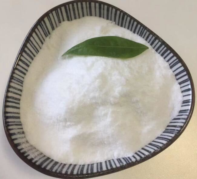 20210811164156fd94da0d52fe4a36a6fa56152cbb7478 20210811164156fd94da0d52fe4a36a6fa56152cbb7478