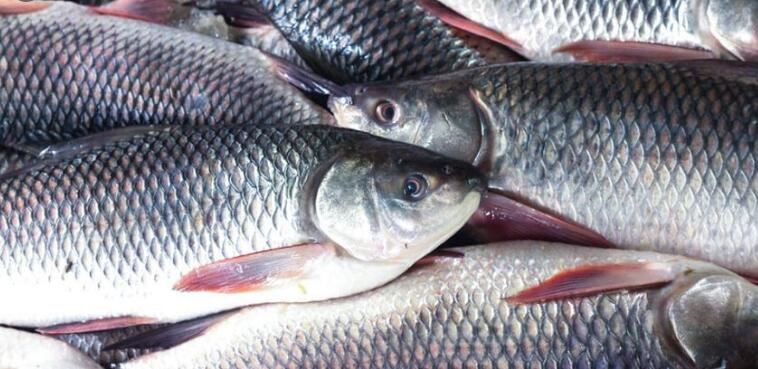 20210812114528bac9b9502a834a2a900bbfdee82de4ce 20210812114528bac9b9502a834a2a900bbfdee82de4ce