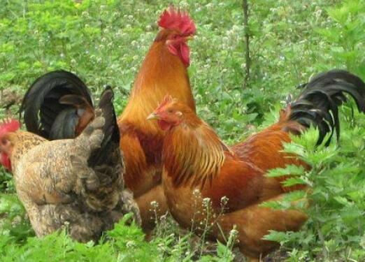 20210915154341c6c78716657a400d8eaa370c54a7a5cd-2 20210915154341c6c78716657a400d8eaa370c54a7a5cd-2