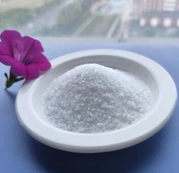 202110211538336f0b3017a5164b00af72d41f027df99d 202110211538336f0b3017a5164b00af72d41f027df99d