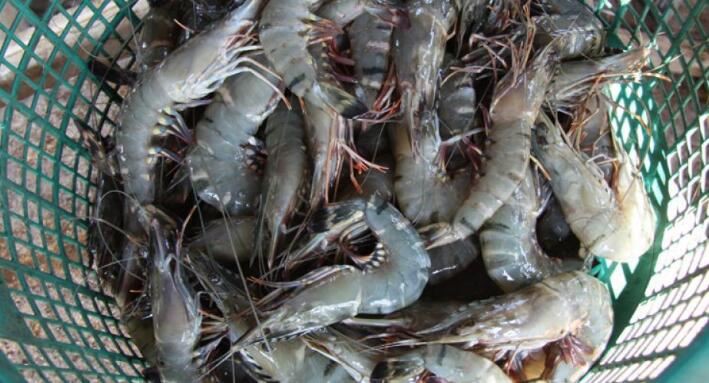 2021102714015056e54c92d3264be68bfc0f91f9301222 2021102714015056e54c92d3264be68bfc0f91f9301222