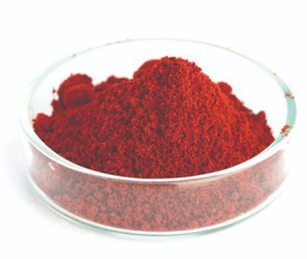 20211124151606de6a9b8e2eab473c89f12e20809a9e71-1 20211124151606de6a9b8e2eab473c89f12e20809a9e71-1