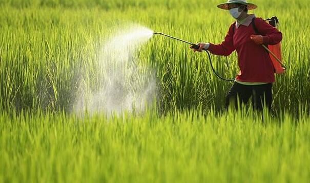 202111261502561bcc3daef63a42f5adc8818fed9ad361