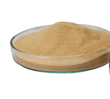 20211222093127c741d6e8d0ad4a748423bdb1fe8e2117-1