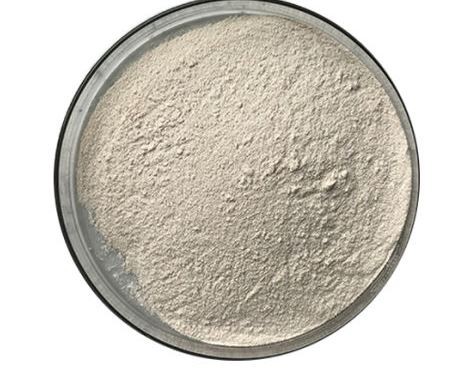 20211223091050a69487088360495396cf08beb8884c0d 20211223091050a69487088360495396cf08beb8884c0d