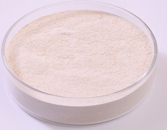 202112240923493673d950ccc242c899f5cec31dc70a0b