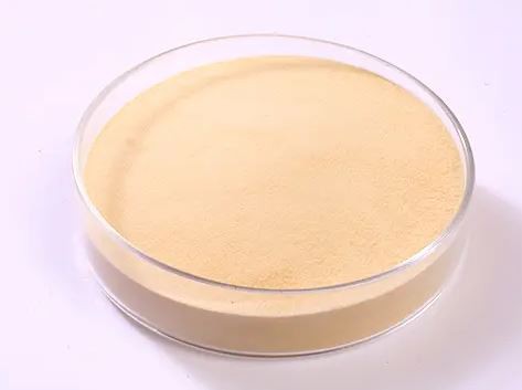 20211230095751dda78995a4d74a8fbc472c80e6819769 20211230095751dda78995a4d74a8fbc472c80e6819769