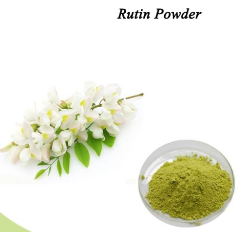 202201241220554a72ae174482443e8166a0f19f63b13c 202201241220554a72ae174482443e8166a0f19f63b13c