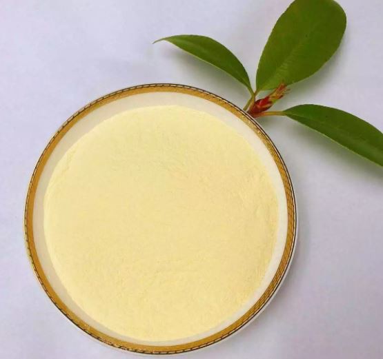 20220124142316a463219f4d8e4c7ea99d9cbf8d0c7774 20220124142316a463219f4d8e4c7ea99d9cbf8d0c7774