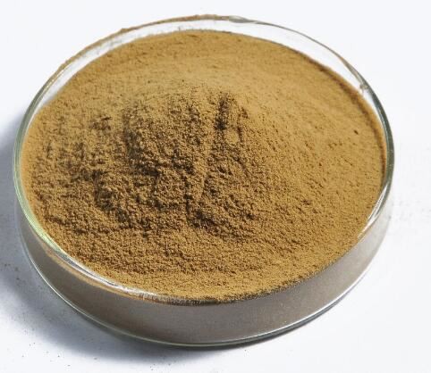 20220211141802d015ab4880d94a899c46f63d9c6a0de5 20220211141802d015ab4880d94a899c46f63d9c6a0de5