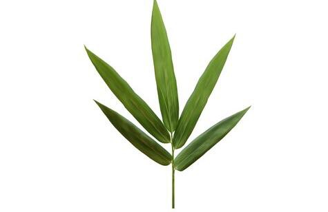 2022021813440649fe5cc681e44f0486d77fe895edb3f0 2022021813440649fe5cc681e44f0486d77fe895edb3f0