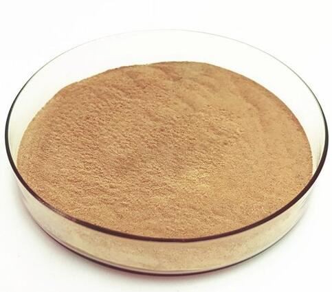 202202221618051103bcdd04c349e1b0f714bc7dc72f3f