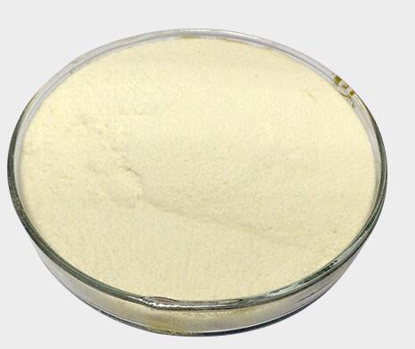 20220222165328b4159cd314324144be012ee632a770cd-1 20220222165328b4159cd314324144be012ee632a770cd-1