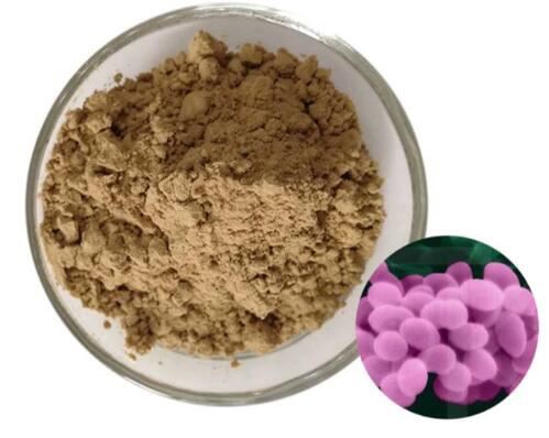 20220224155621152ae5332fe348049e686e8482c44070-1 20220224155621152ae5332fe348049e686e8482c44070-1