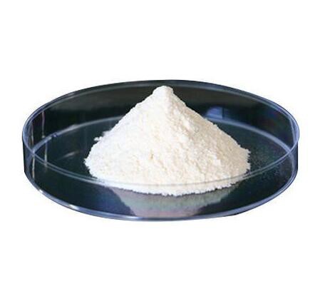 202202251609548ec0117a3a354eaf8e5c1ce76dfe33cf-1 202202251609548ec0117a3a354eaf8e5c1ce76dfe33cf-1