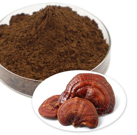 20220412113427f0a0427b4d424ca9af24888dfd96d3df-1 20220412113427f0a0427b4d424ca9af24888dfd96d3df-1