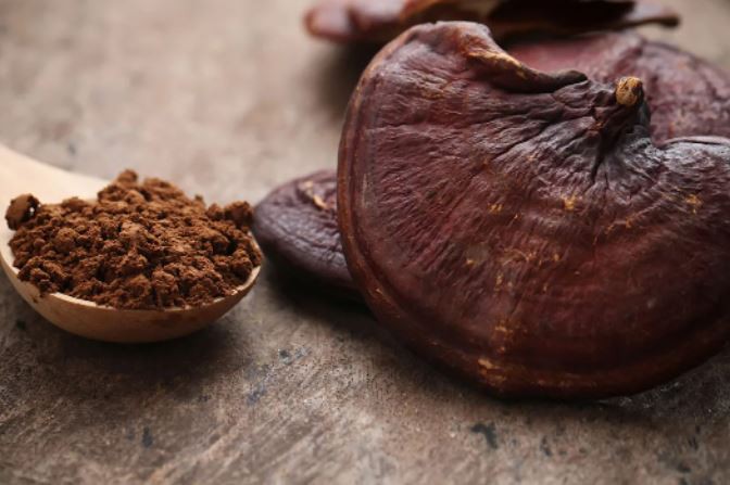 20220412120547a89c34df3d21498b9e591969b75397f3 20220412120547a89c34df3d21498b9e591969b75397f3