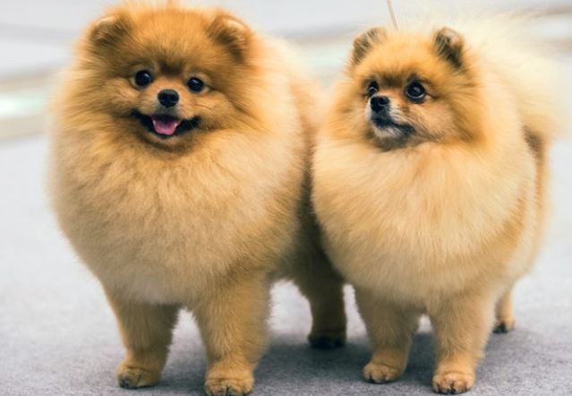 20220414120211cc6d67dc60214c93928b346293776239-5