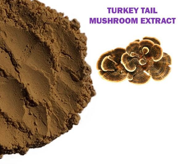 20220420110557d12fa4b2f55d4e3bb42f2fccbd42f06c 20220420110557d12fa4b2f55d4e3bb42f2fccbd42f06c