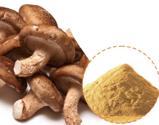 202204211207118fff54e21e6746fd94ab6bf423f8a39d