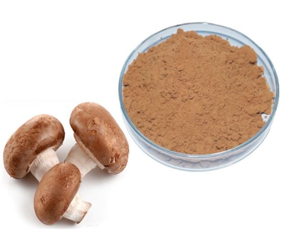 20220422112724105ced695f874487bb293113f2410bad 20220422112724105ced695f874487bb293113f2410bad