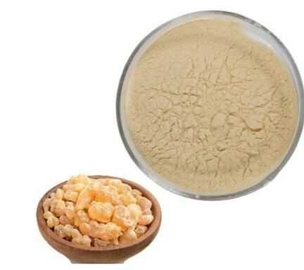 20220425133454a14d27dca4e7475a8102ab8470335c78