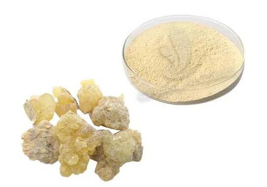 20220425141851b85f487d2e5b4978ac8521cc2b693cd5 20220425141851b85f487d2e5b4978ac8521cc2b693cd5