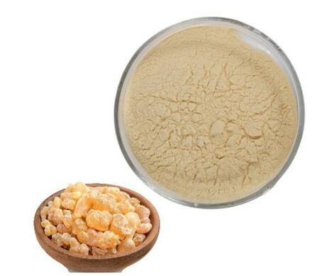 202204251438349771d341fa0f44c49c168550ad59761b-2 202204251438349771d341fa0f44c49c168550ad59761b-2