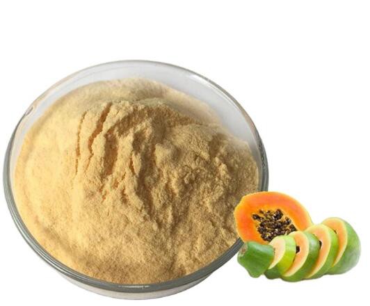 202205091556454ae13c3a08314a9c90cc8bb36826c480