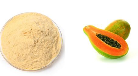 20220509155714ce2f7d4eabfe419ba4b1cbb693b9acf7-3