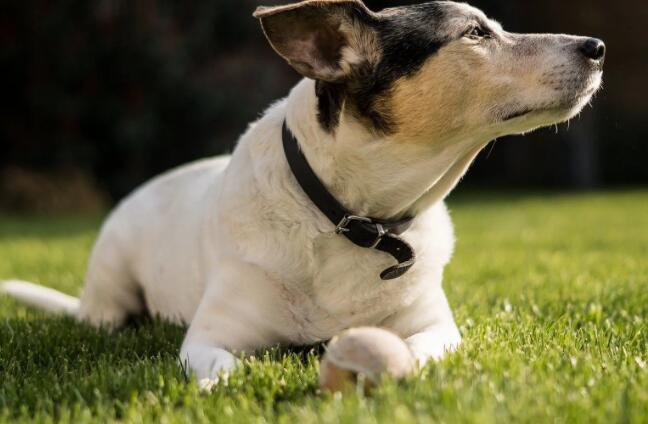 202205121619011edc3603767e4b54a9ded2a1f7880ddb-1 202205121619011edc3603767e4b54a9ded2a1f7880ddb-1