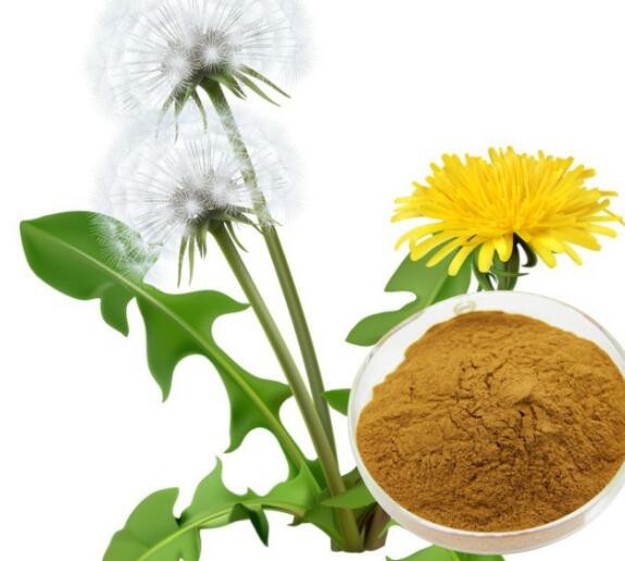 20220513120111967cd280955f46fb9ff163fd934f21d9-1 20220513120111967cd280955f46fb9ff163fd934f21d9-1