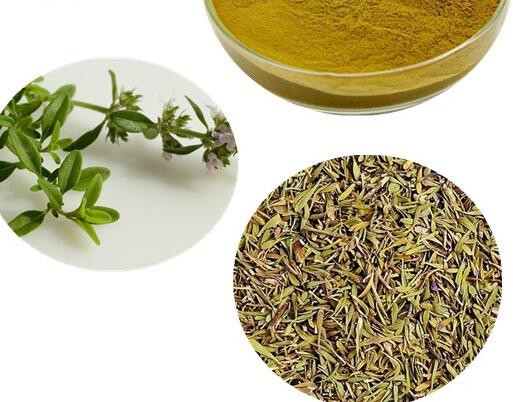 20220623112835ca2760a98e0c43cd92126e8544324a66