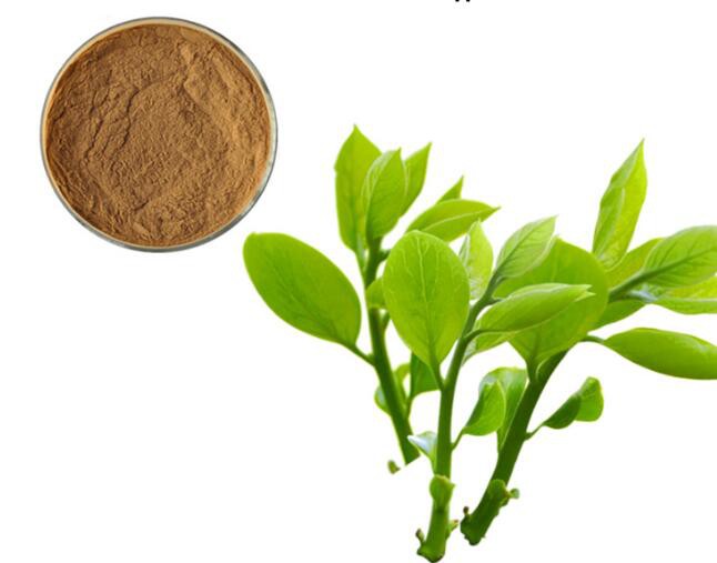 202206281529275bf068e665554bcc8b5339f922e97237 202206281529275bf068e665554bcc8b5339f922e97237