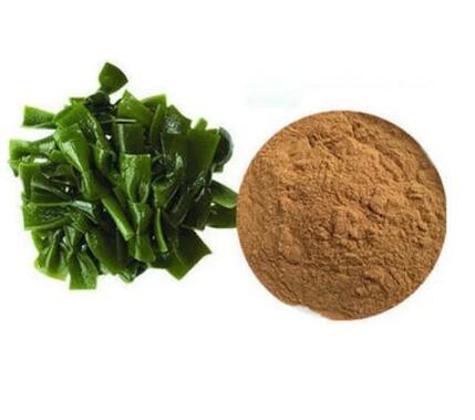 202207131412497ebf90103a0b4762bf9fe1386d47806e 202207131412497ebf90103a0b4762bf9fe1386d47806e