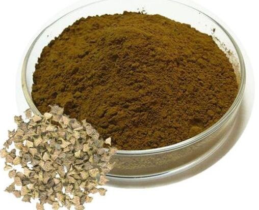 20220726132238272a68d301ef44cc8ad40c02bd5eccd4-2 20220726132238272a68d301ef44cc8ad40c02bd5eccd4-2