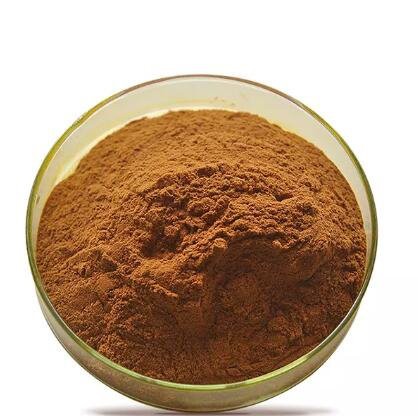 20220815142246ea6a69cec41f4ec2b958f7801b6b9559-1 20220815142246ea6a69cec41f4ec2b958f7801b6b9559-1