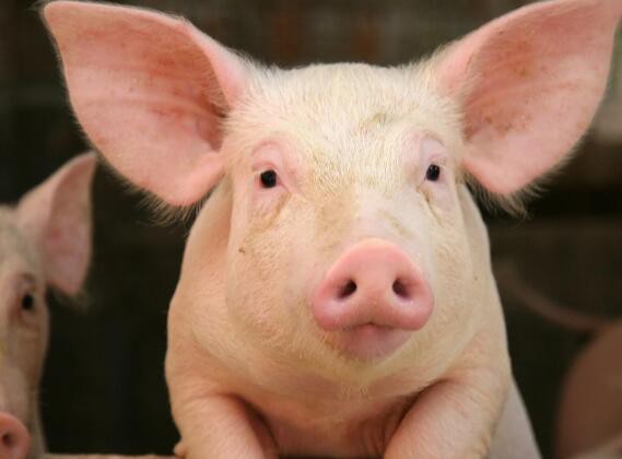 2023020614315020864b033c374002af87b7f0d7351cc8-2 2023020614315020864b033c374002af87b7f0d7351cc8-2