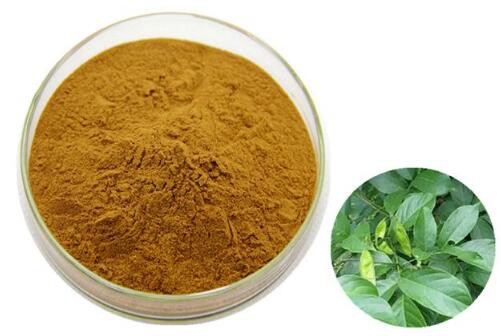 2023020815121451de1171e64946c781fc3167fd5f103a 2023020815121451de1171e64946c781fc3167fd5f103a