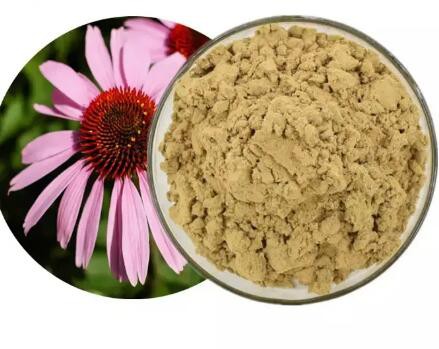 20230217104025cfcc1d1a375447118e0ccec52f43f98f 20230217104025cfcc1d1a375447118e0ccec52f43f98f