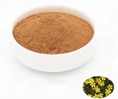 202303061528413cf3d947cc014447b5ce42350c6f2871-1 202303061528413cf3d947cc014447b5ce42350c6f2871-1