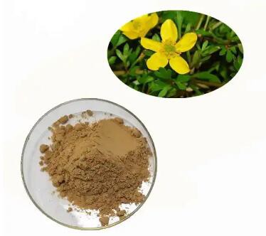 2023030615285903ee1f3a8cfb43c185e536267a7b0688 2023030615285903ee1f3a8cfb43c185e536267a7b0688