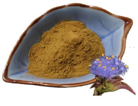 20230309150807b18e4d076bde4f2484bbef22f27cf29c 20230309150807b18e4d076bde4f2484bbef22f27cf29c